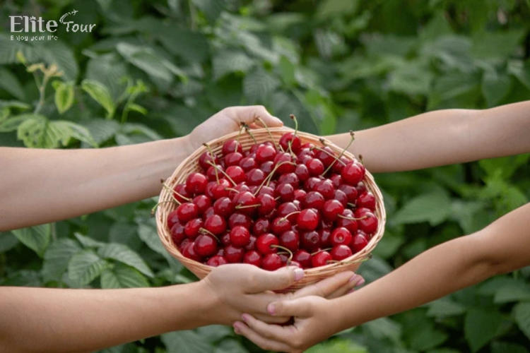 Tour Thổ Nhĩ Kỳ - Hy Lạp Huyền Thoại Địa Trung Hải 13N12Đ