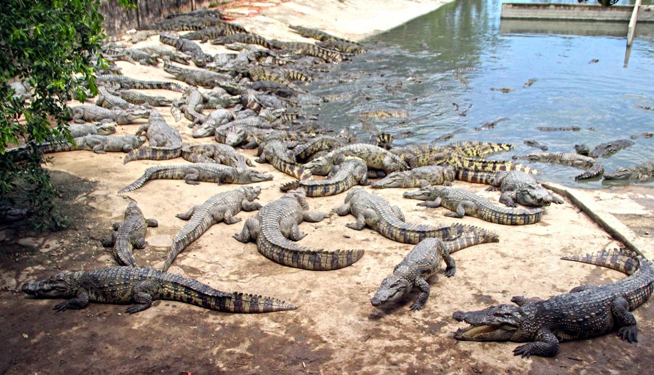 Tour Xuyên Việt Từ Sài Gòn 15 Ngày 14 Đêm