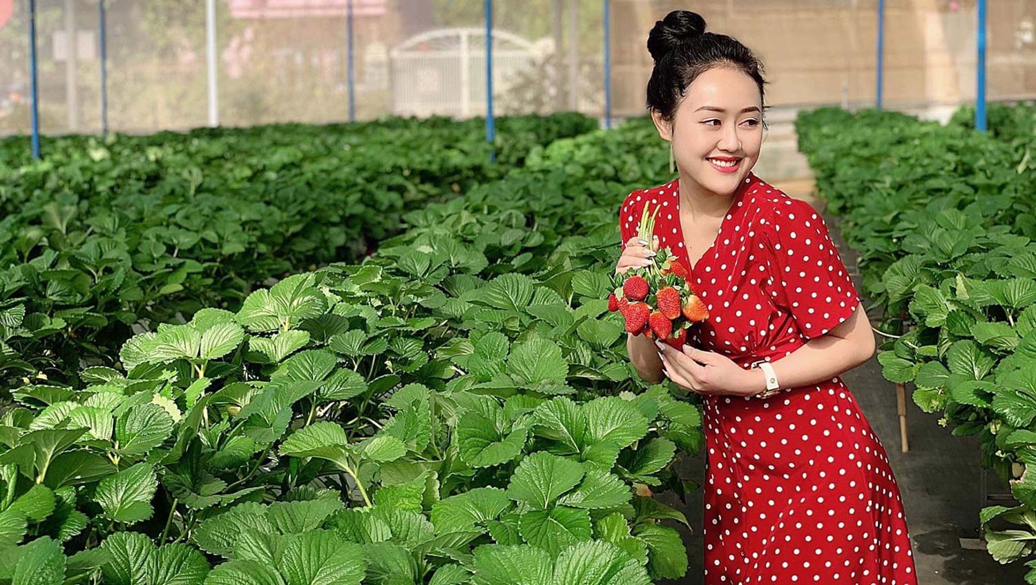 Tour Du Lịch Hà Nội - Đà Lạt - Buôn Mê Thuật 4 Ngày 3 Đêm