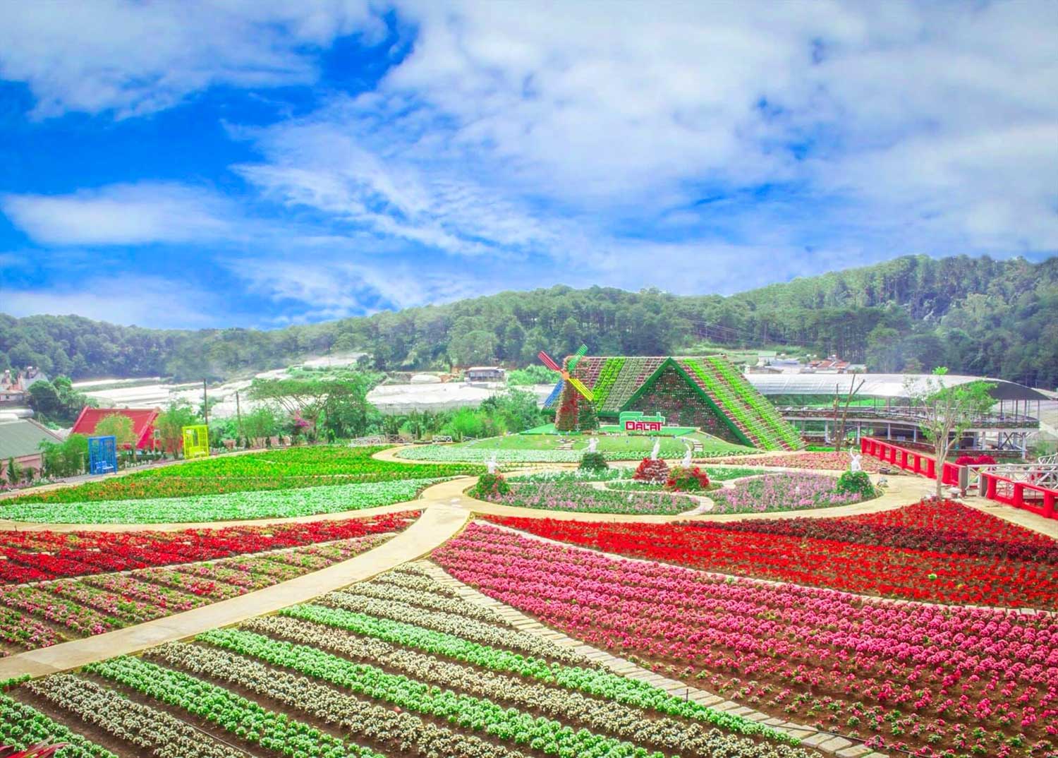Tour Du Lịch Hà Nội - Đà Lạt - Buôn Mê Thuật 4 Ngày 3 Đêm