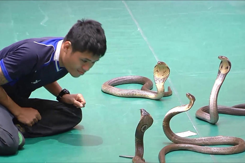 [Tour Tết] Tour Du Lịch Thái Lan Tết 5 Ngày 4 Đêm