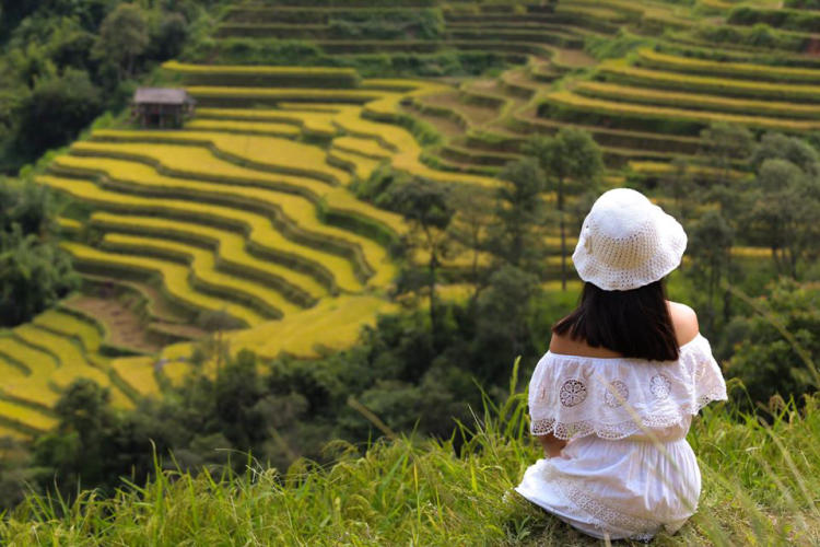 Tour Mù Cang Chải - Trạm Tấu - Bản Cu Vai Mùa Lúa Chín 3N2Đ