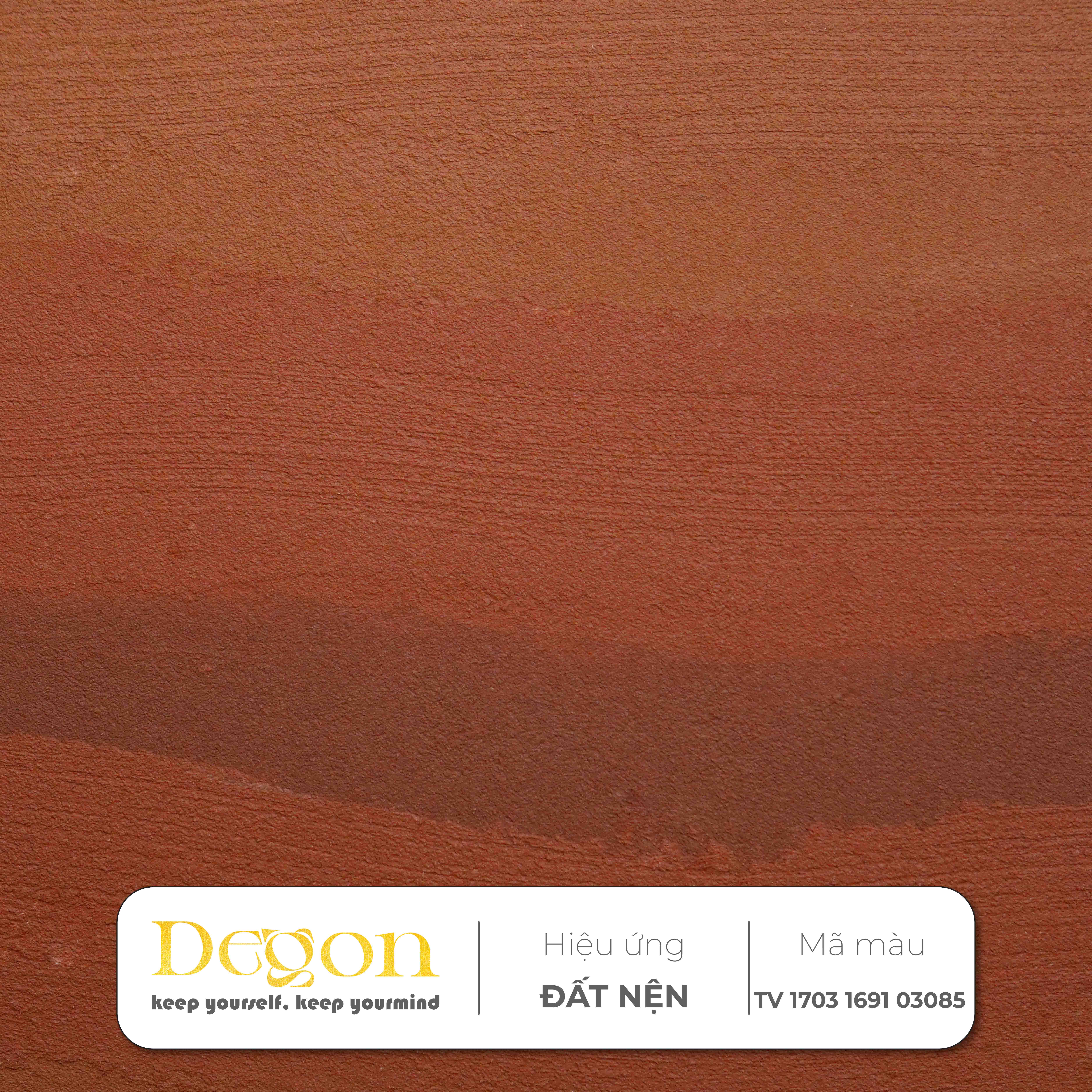 Forest Timber (Gỗ rừng già) | Mã màu (TV 1703 1691 03085)