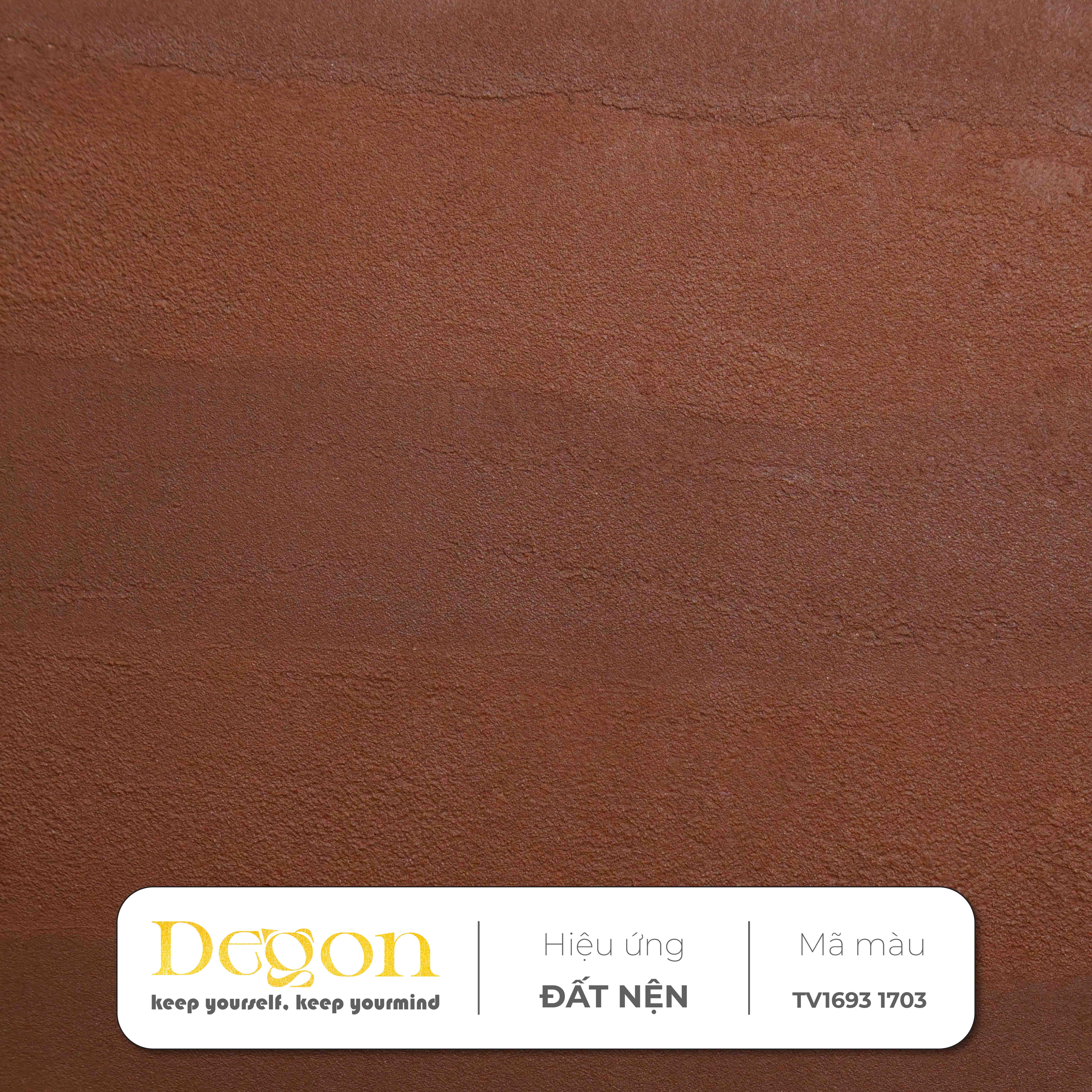 Dark Wood (Gỗ mun rừng sâu) | Mã màu (TV1693 1703)