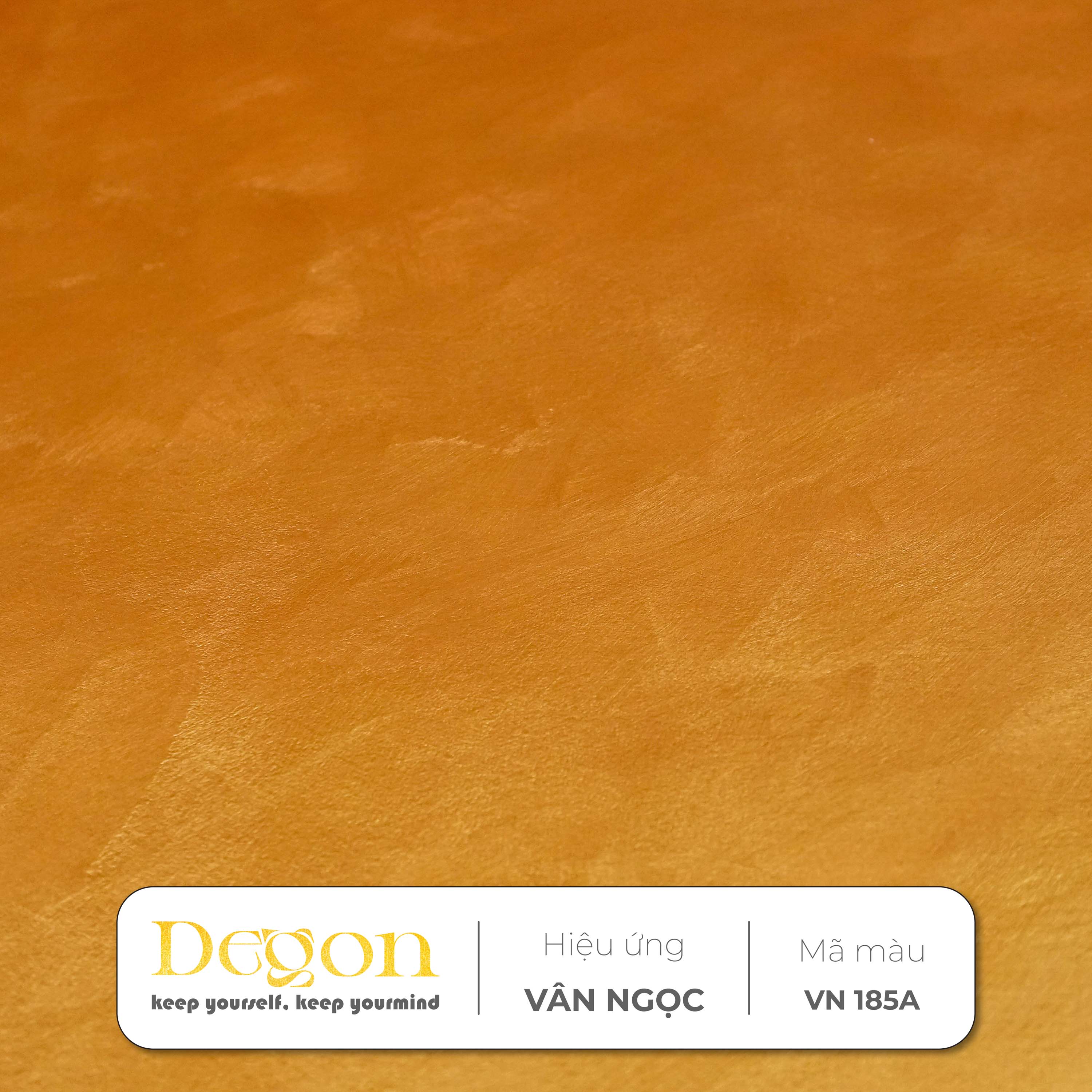 Terracotta (Cát cháy) | Mã màu VN 185A