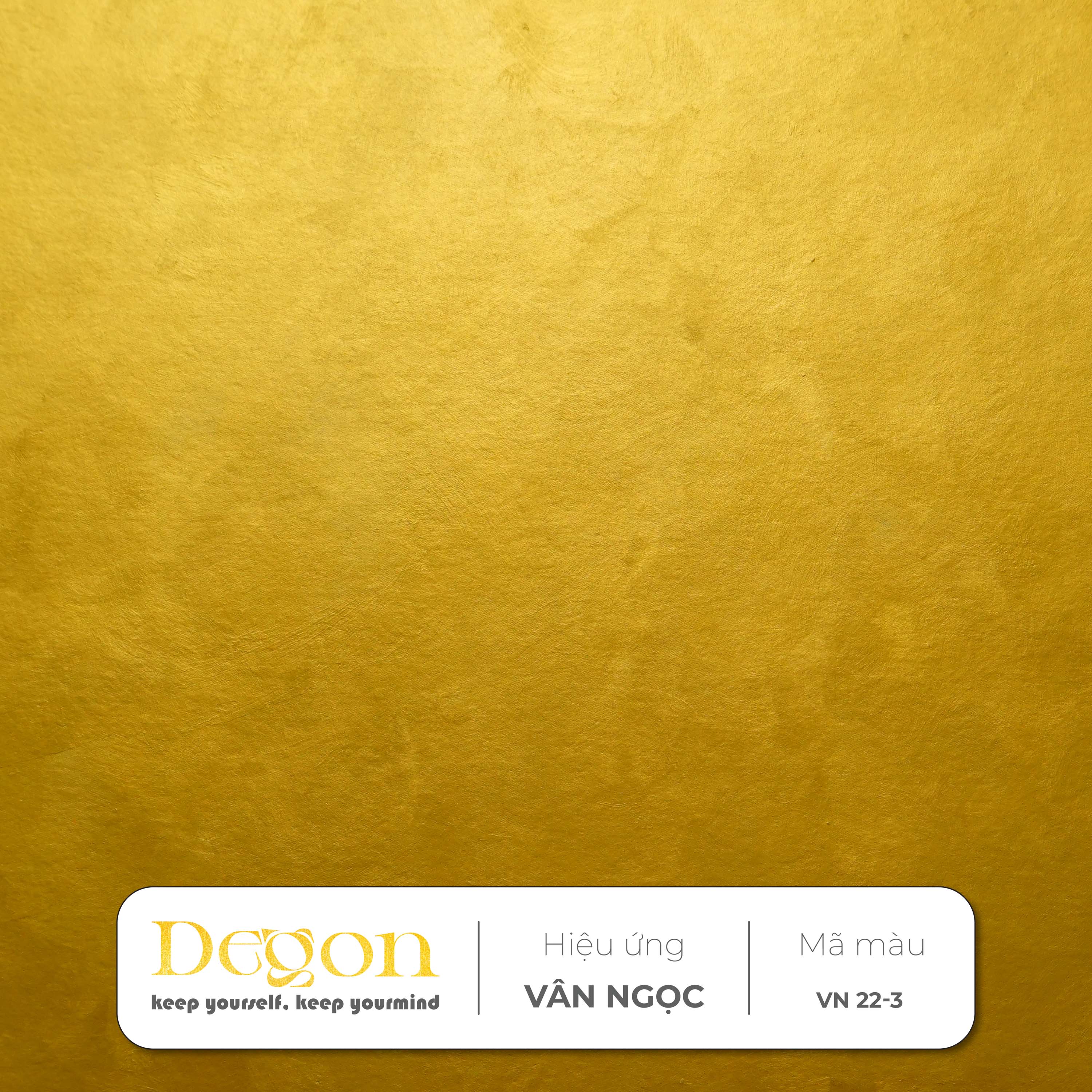 Royal Gold (Vàng hoàng gia) | Mã màu VN 22-3