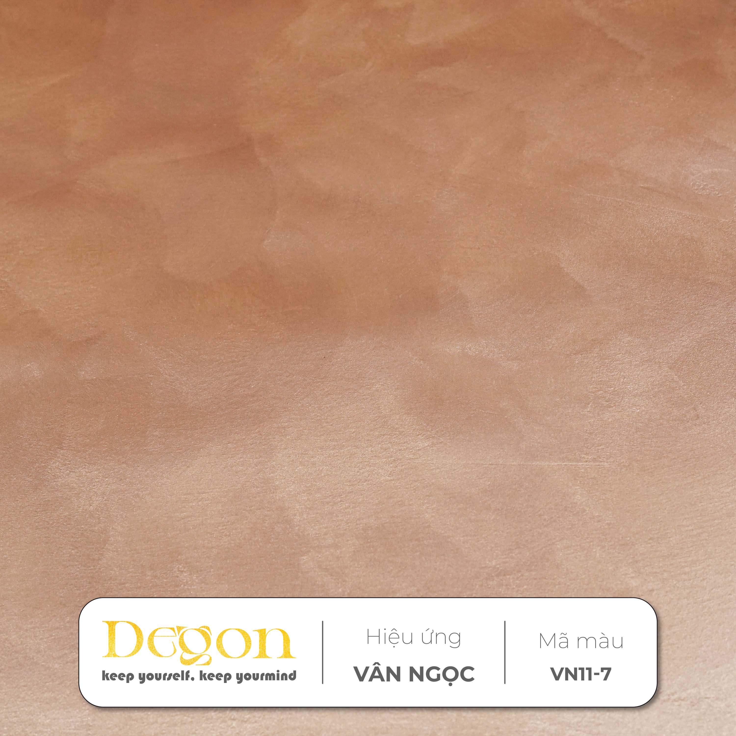 Dusty Rose (Hồng tro) | Mã màu VN11-7