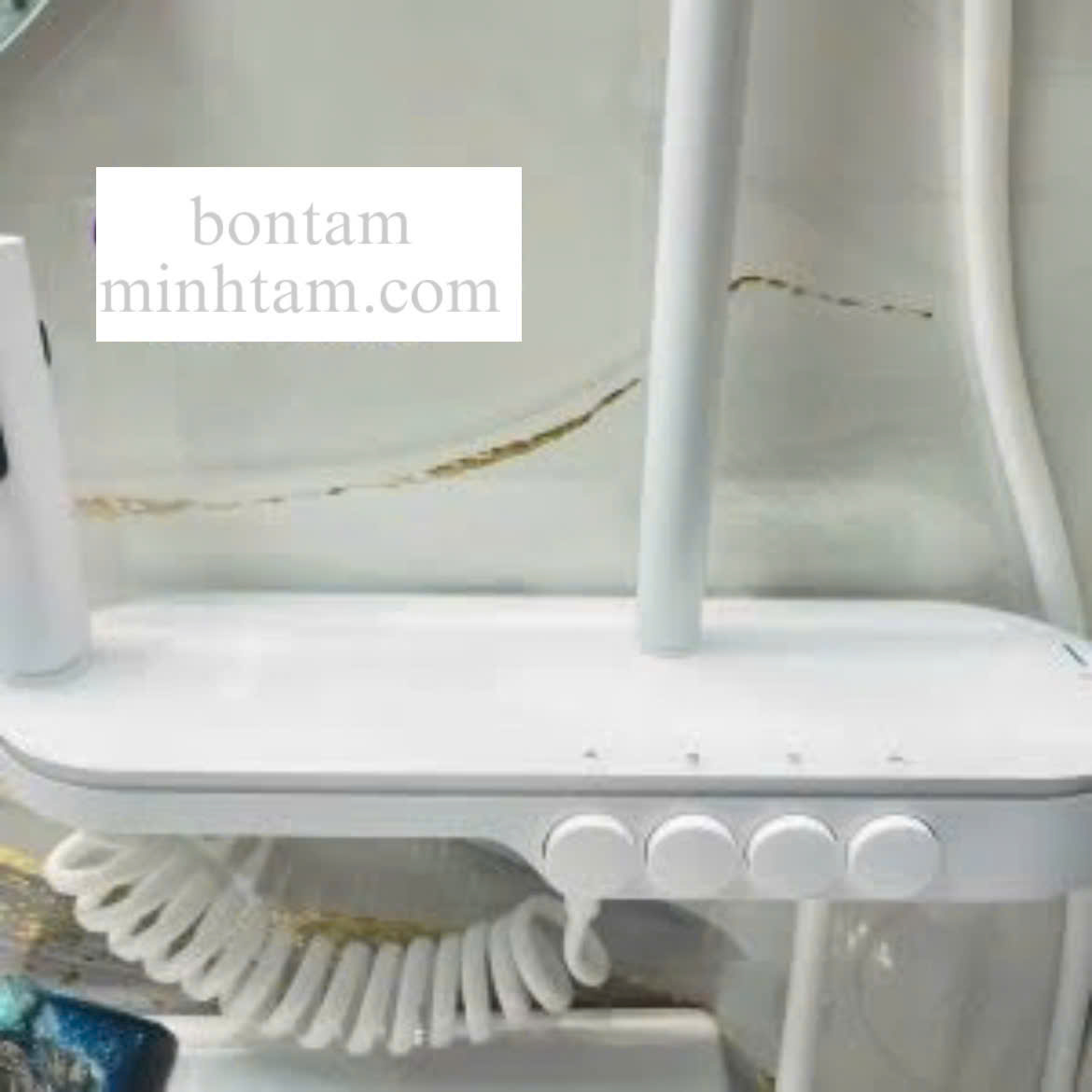 Sen cây đồng nhấn màu trắng mặt kính tròn cao cấp MT-SN5T