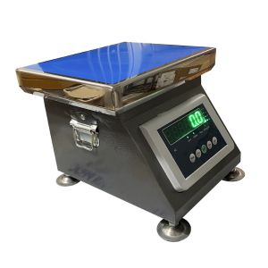 Cân ghế ngồi – Giải pháp đo khối lượng tiện lợi cho hộ kinh doanh