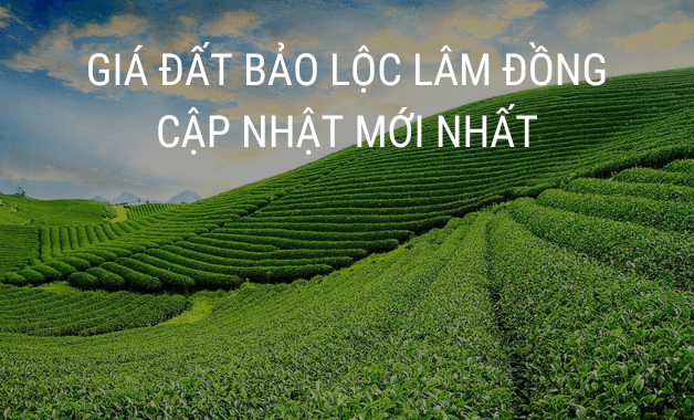 Giá đất phường 2 Bảo Lộc Lâm Đồng: Cập nhật mới nhất 2025