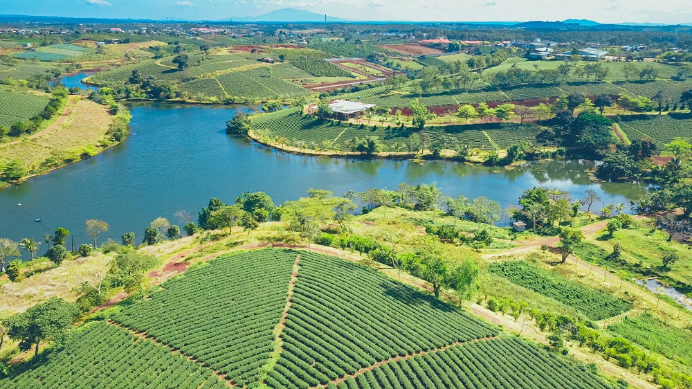 So Sánh Giá Đất Trung Tâm Và Vùng Ven Tại Bảo Lộc Với Đà Lạt Năm 2025: Cơ Hội Đầu Tư Nào Hấp Dẫn Hơn?