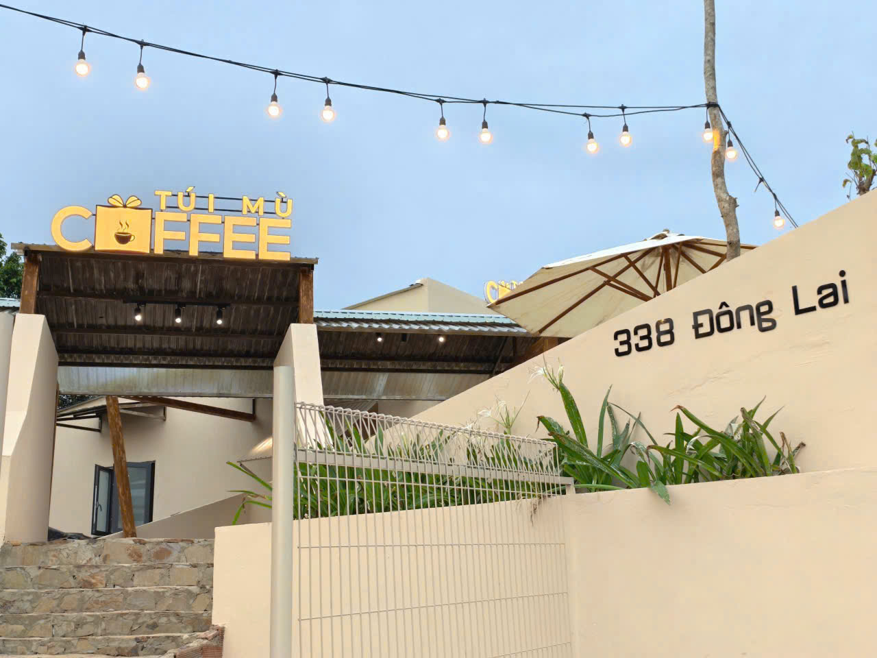 Trà Bảo Lộc – Hương vị đặc sản cao nguyên Lâm Đồng