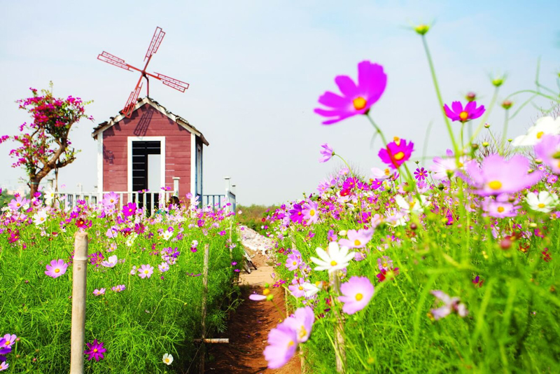 Khu Dân Cư Park Hill 4C- Khu nghỉ dưỡng xanh view săn mây