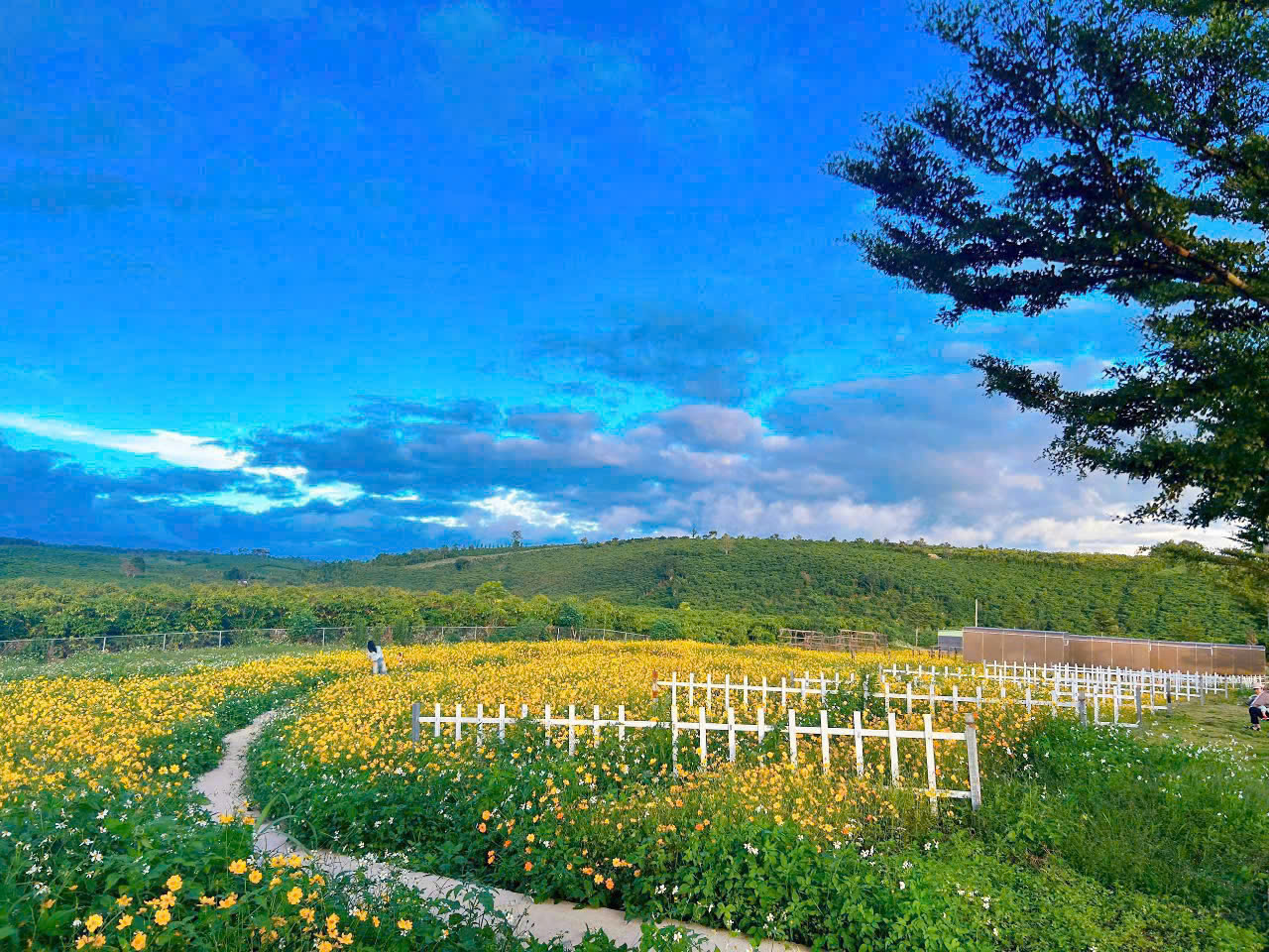 Khu dân cư Park Hill 4E