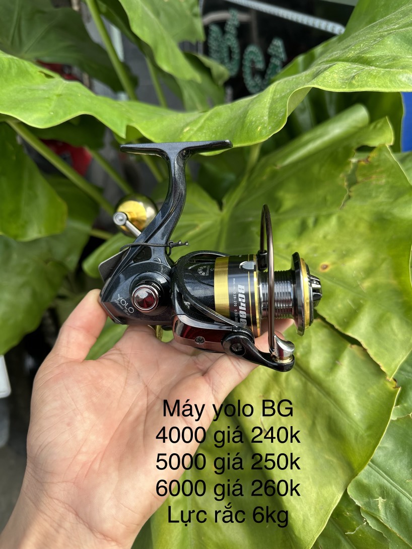 Bg 3000