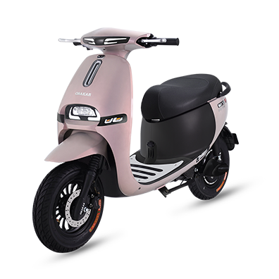 GOGO FIONA Lộng Lẫy Kiêu Sa