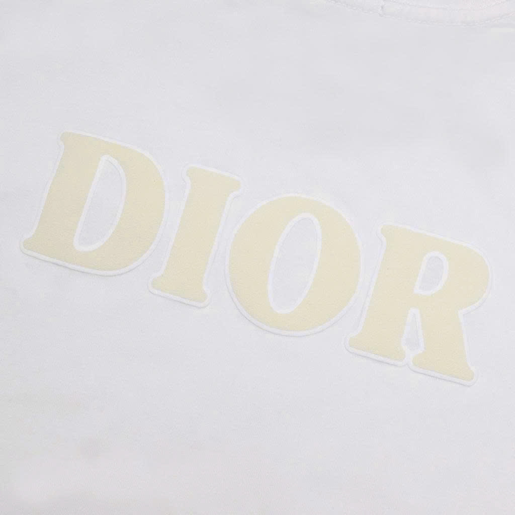 Áo Thun Dior In Phồng Basic CD
