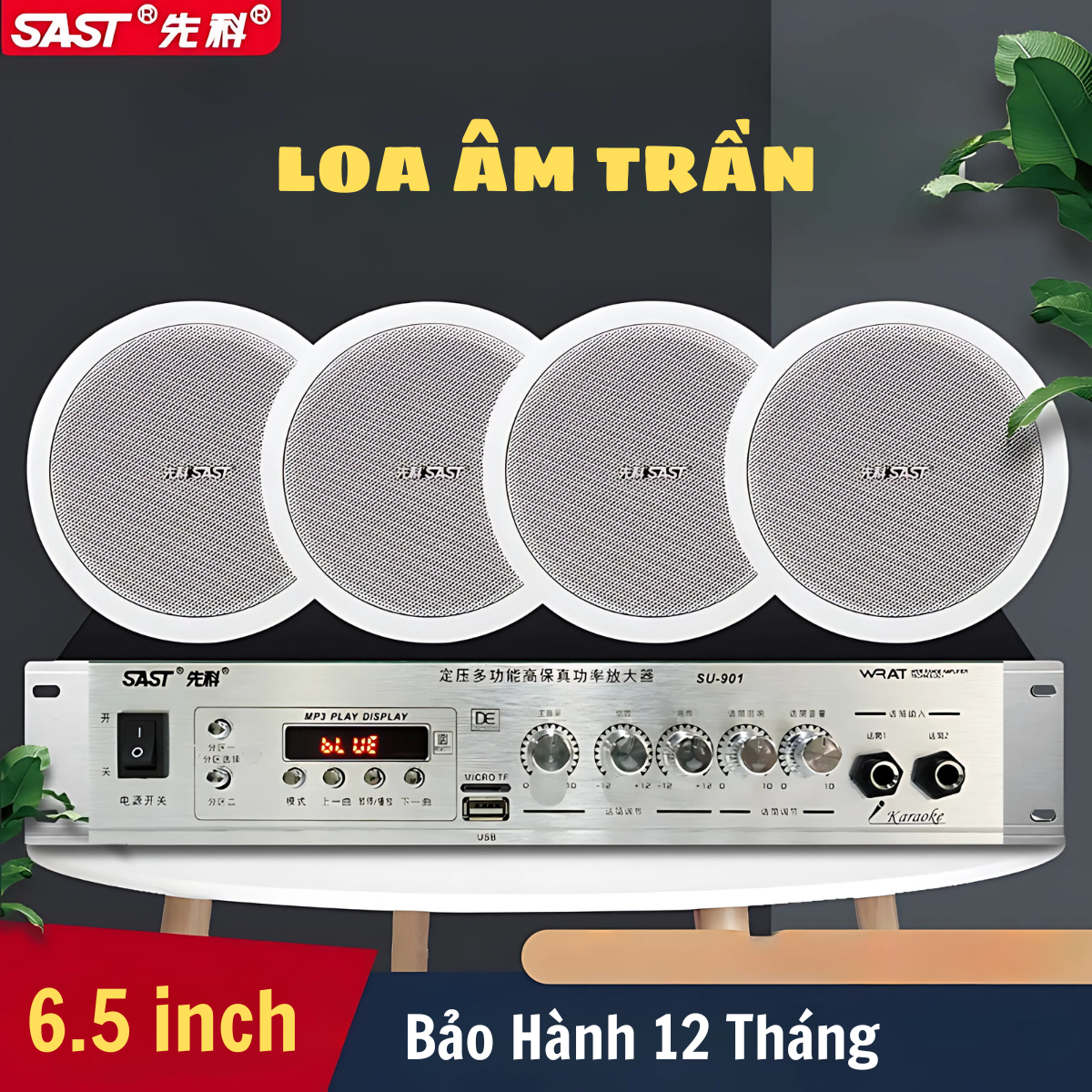 Hướng Dẫn Chọn Và Lắp Đặt Loa Âm Trần