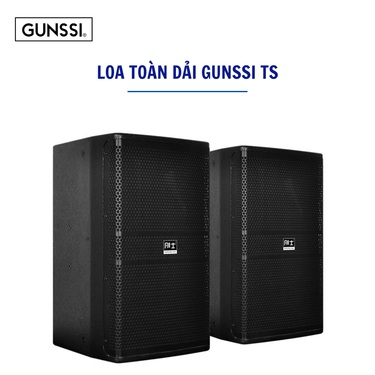 Loa Toàn Dải GUNSSI TS-12/TS-15 Công Suất Khủng Cho Dàn Karaoke, Sự Kiện,...