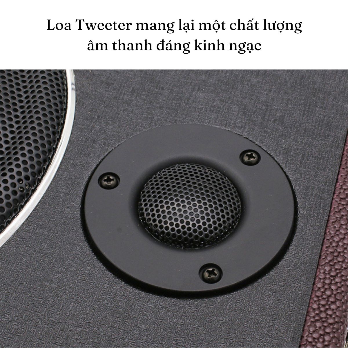 Loa sub ô tô Gunssi-công suất lớn-loa siêu trầm gầm ghế ô tô 8 inch-bảo hành 12 tháng
