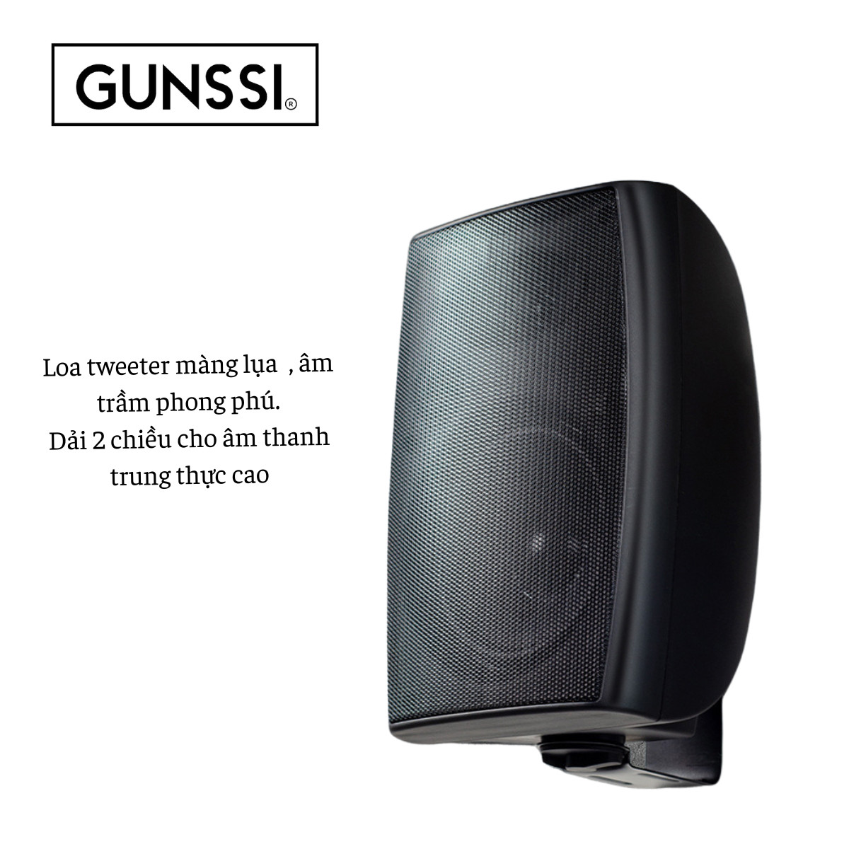 Loa treo tường GUNSSI HY-313-công suất 40W-thích hợp treo phòng khách-văn phòng-bảo hành 12 tháng