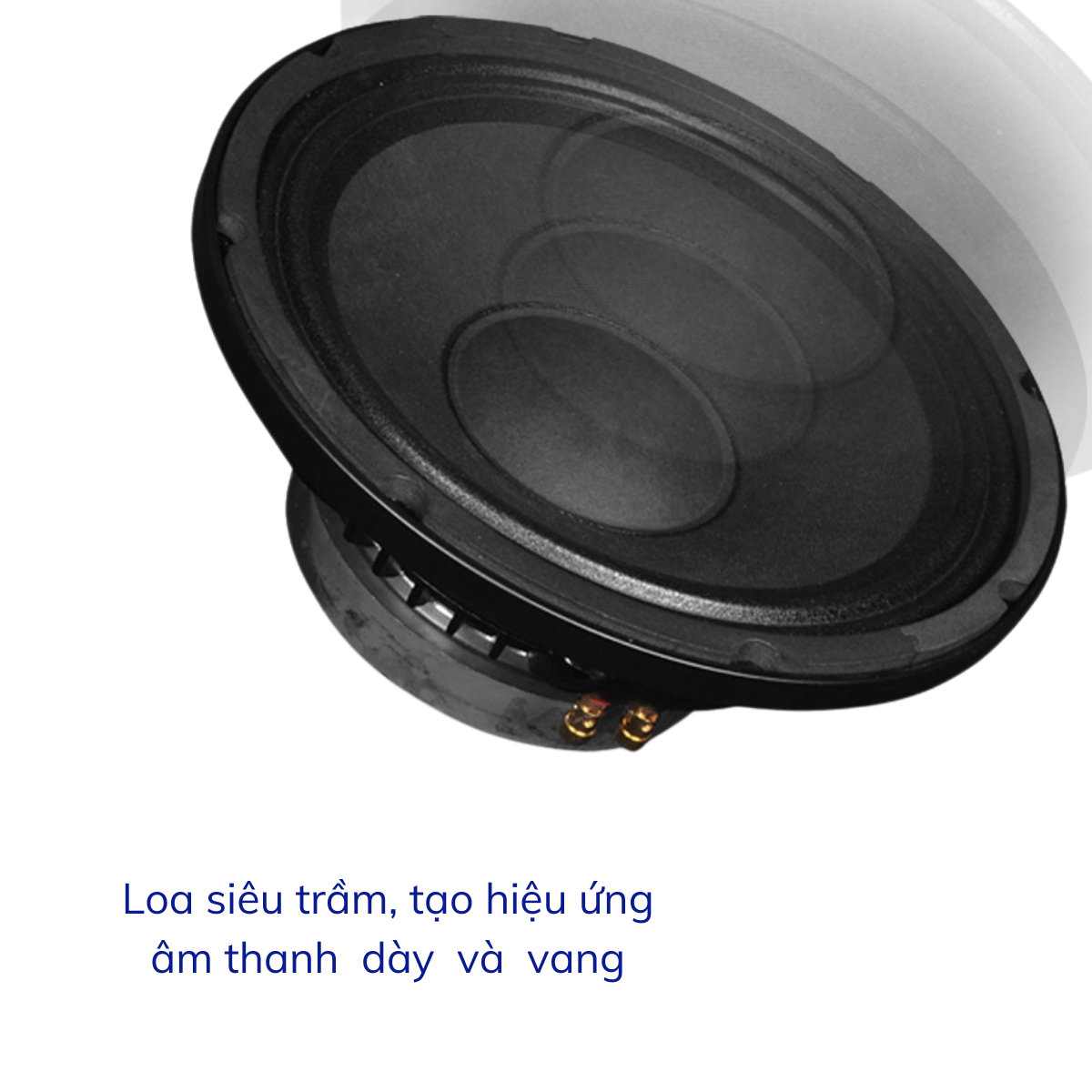 Loa Toàn Dải GUNSSI TS-12/TS-15 Công Suất Khủng Cho Dàn Karaoke, Sự Kiện,...