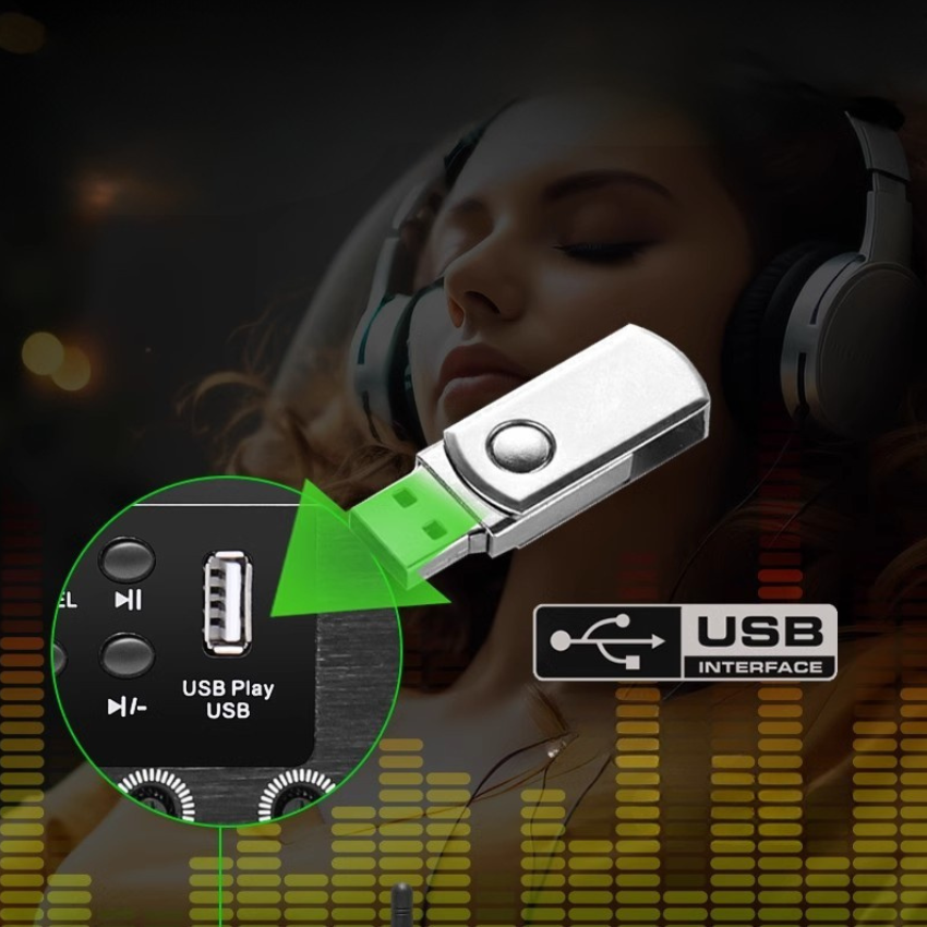 Vang Cơ Karaoke LD-300 Cao Cấp – Chống Hú Hiệu Quả, Echo Reverb Mượt, Cân Chỉnh Dễ Dàng Cho Dàn Karaoke Gia Đình