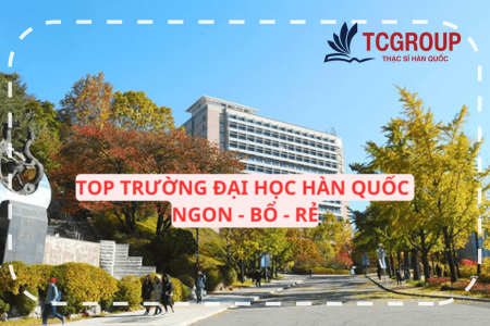 Danh Sách Trường Đại Học Hàn Quốc Tốt Nhất Năm 2025: Ngon - Bổ - Rẻ