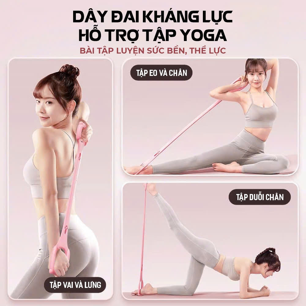Dây kháng lực số 8