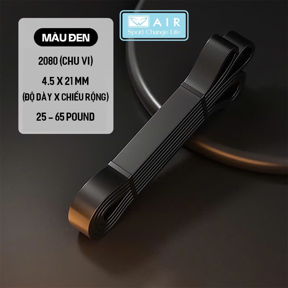 Dây Kháng Lực dài 2080