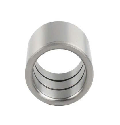 Bạc dẫn hướng SGBA10