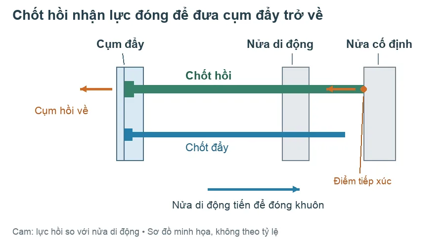 Chốt hồi nhận lực tại mặt tiếp xúc khi đóng khuôn, đưa cụm đẩy và chốt đẩy trở về so với nửa di động