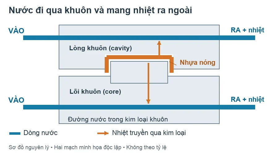 Sơ đồ làm mát khuôn: lòng khuôn và lõi khuôn, hai mạch nước vào ra độc lập, nhiệt từ nhựa truyền qua kim loại đến dòng nước