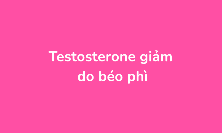 Testosterone giảm do béo phì
