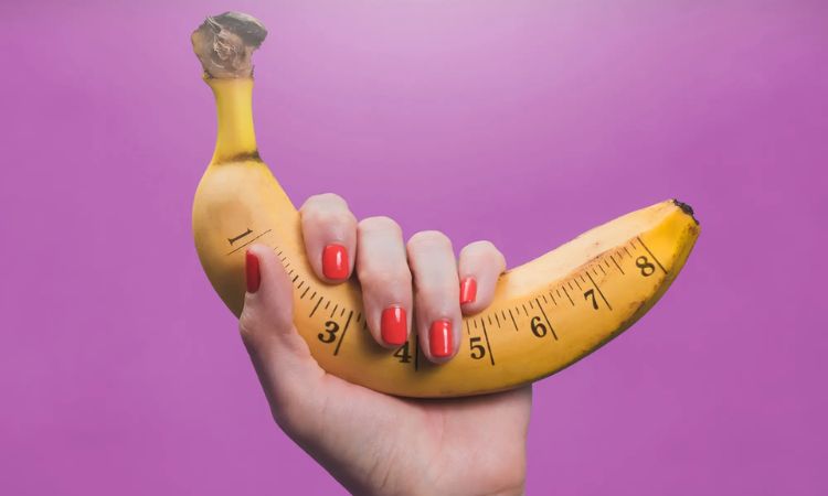 Cậu nhỏ 12cm có nhỏ không? Sự thật khiến nhiều anh em bất ngờ!