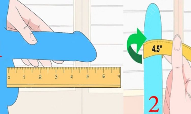 🧠 Cách đo kích thước dương vật chuẩn y khoa – nam giới nên biết