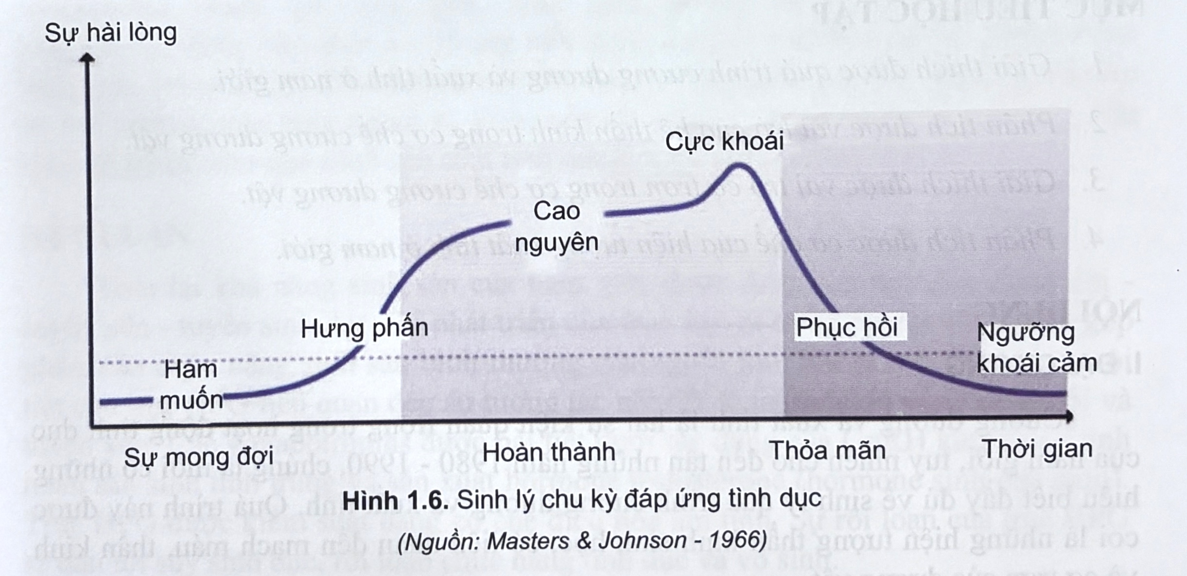 Quá trình cương dương diễn ra như thế nào?