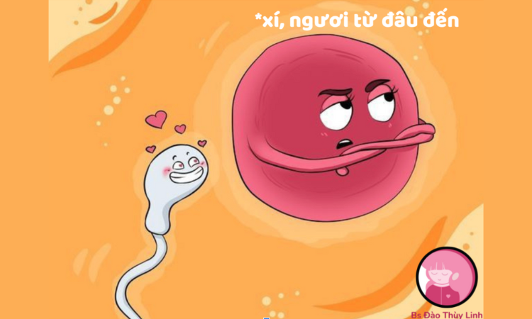 Tinh dịch được tạo thành từ đâu?