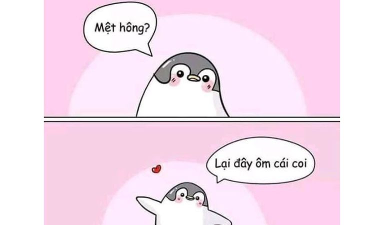 Hướng dẫn dạo đầu khiến nàng “tan chảy” từ những giây đầu tiên