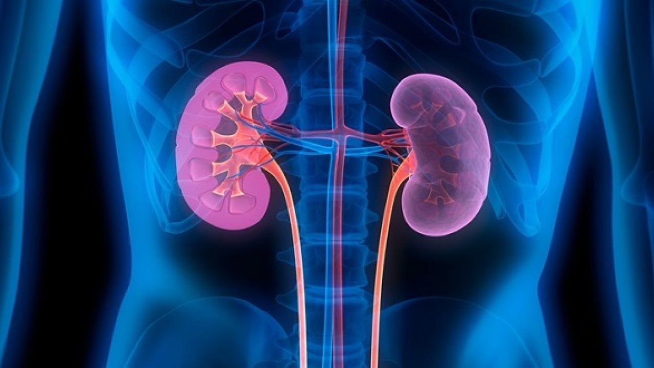 Bs đông y bảo yếu sinh lý là do thận kém nhưng xét nghiệm thấy chức năng thận bình thường???