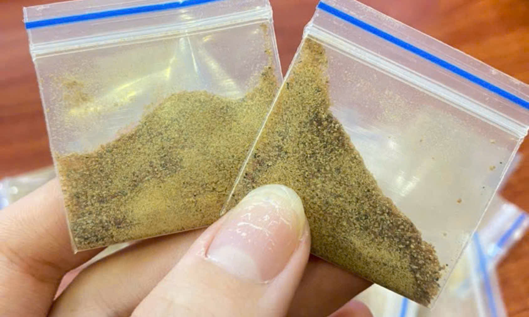 Tất tần tật về sìn sú