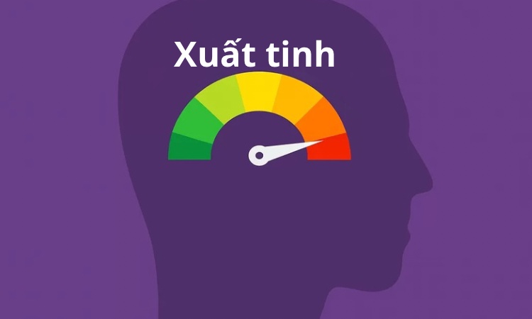 Tạng Thận như người giữ cửa xuất tinh, ra nhanh hay ra chậm là do nó chỉ đạo