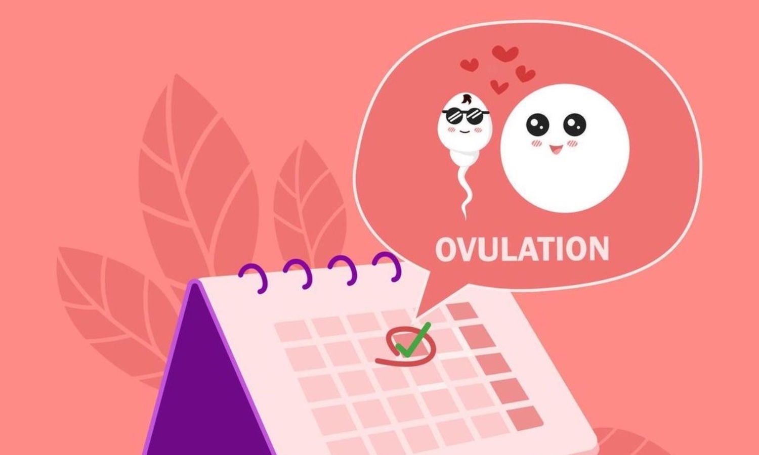 Hướng dẫn tránh thai bằng cách tính ngày an toàn