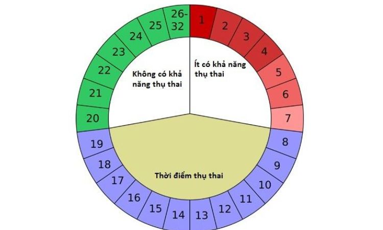 Cách tính ngày an toàn trong chu kỳ rụng trứng