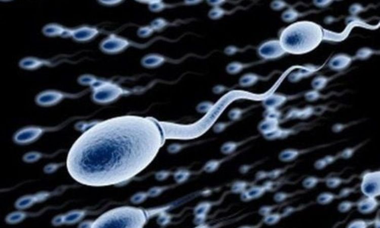 Cách bảo vệ sức khỏe sinh sản nam giới