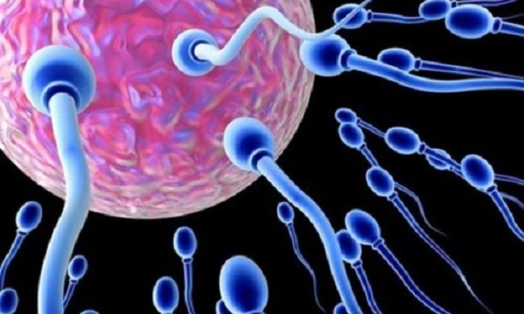 Lối sống làm suy giảm chất lượng tinh trùng