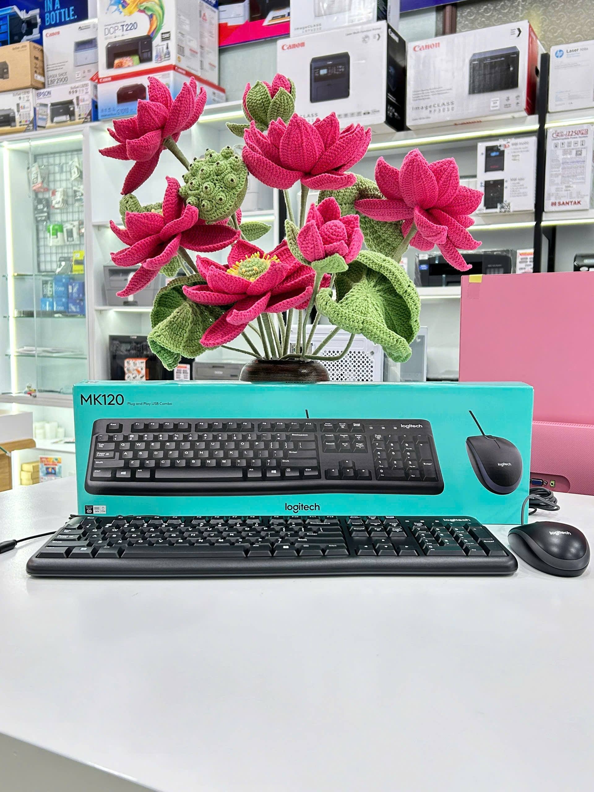 Bộ phím chuột Logitech MK120
