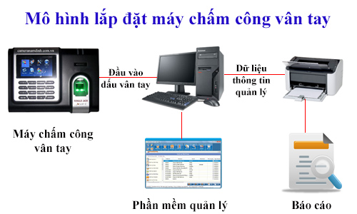 Trọn gói cài đặt hướng dẫn máy chấm công | Dịch vụ máy chấm công | Máy Tính Phú Quốc | Vi Tính Hải Đăng