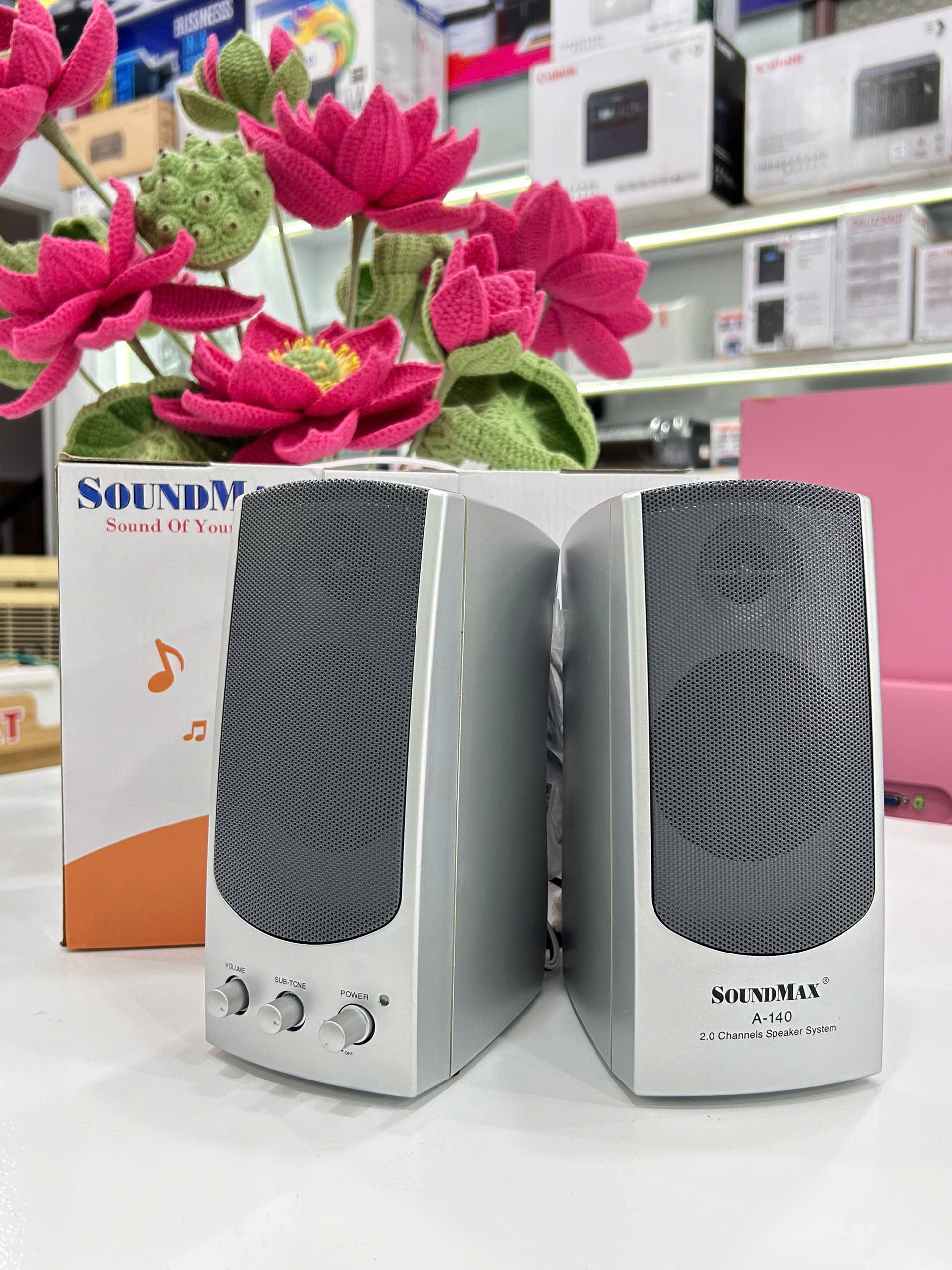 Loa SoundMax A-140