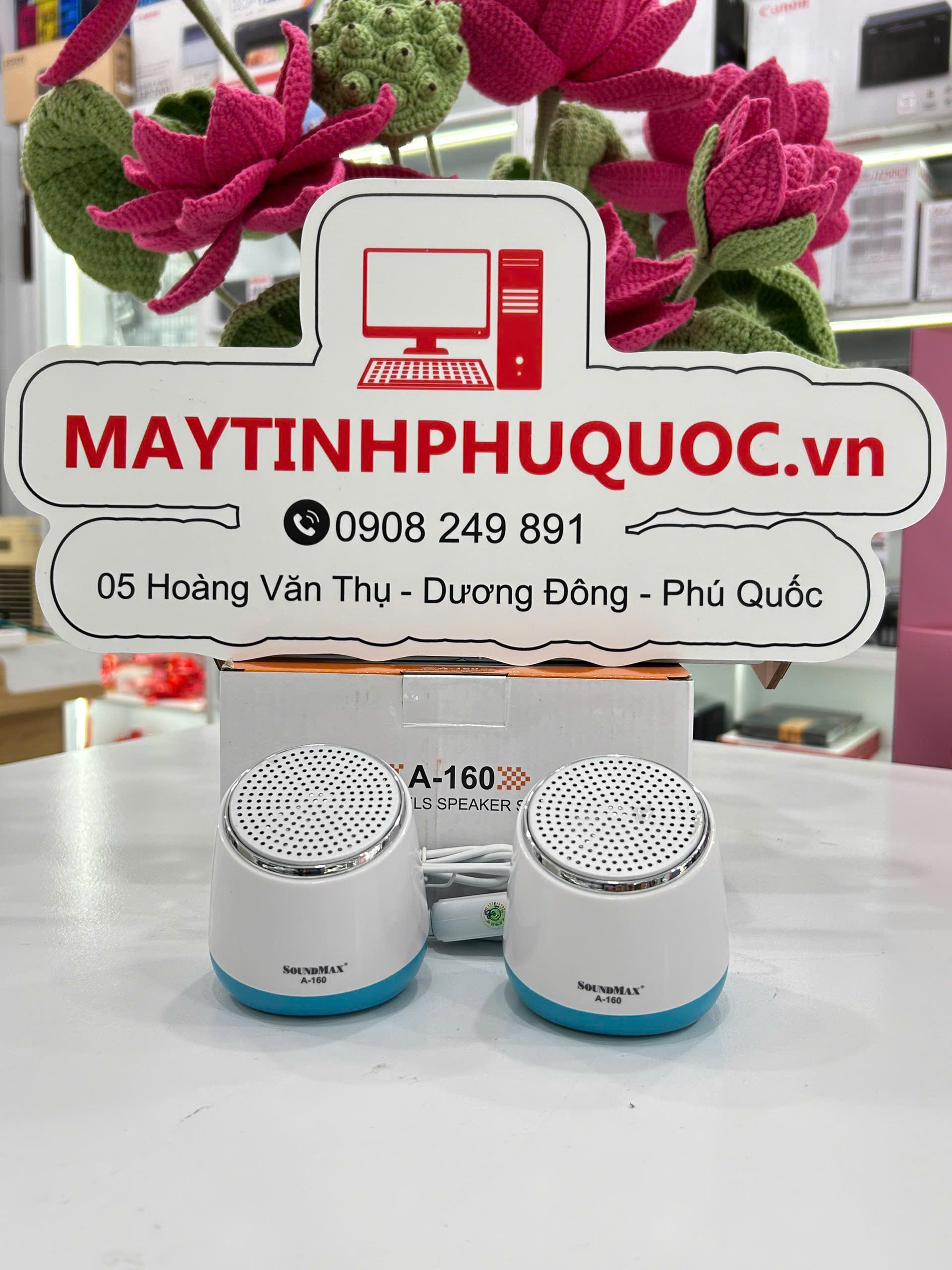 Loa SoundMax A160